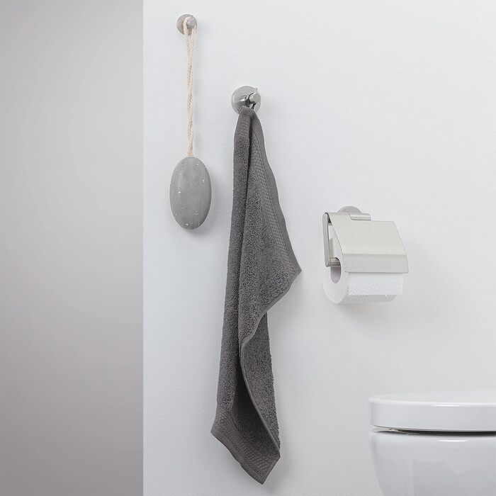 Tiger Boston Stainless Steel Toilet Paper Holder with Cover - Wall Mounted, Brushed Finish Single Roll