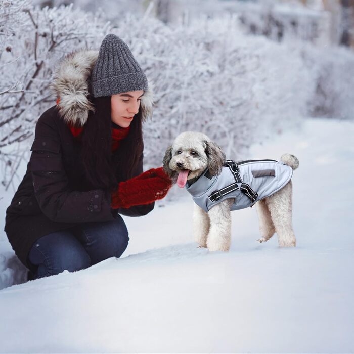 Osleidy Dog Winter Coats, Ware Dog Antel Reflective Dog Clothing Waterproof Puppy Vest for Cold Weather it Dog Harness for Small Medium Dogs (White, ) (XXL, Blue)