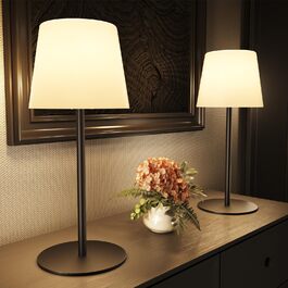 розмір: два штуки