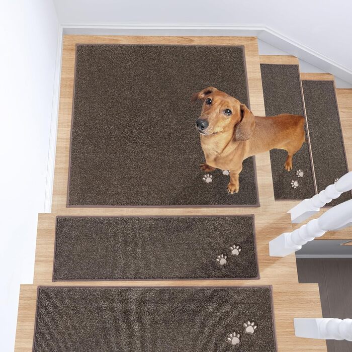 BEQHAUSE Non-Slip Stair Treads - 15 Piece Set - Washable Carpet for Stairs - Safe for Kids, Seniors & Pets - 100% Polyester with TPE Backing - 22x70cm