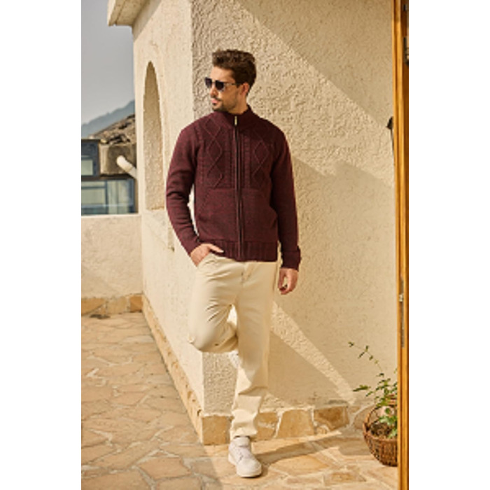 Чоловіча флісова куртка Les Umes з коміром-стійкою, Regular Fit (Бордовий, 3XL)