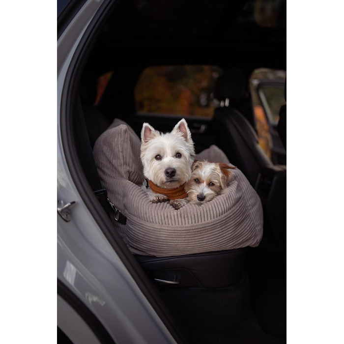 Автоматичний лежак для собак у машину з іменем, бежевий, 60x60x30 см