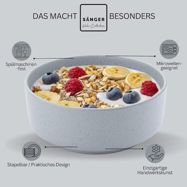 Набір посуду SÄNGER Steingut 12 предметів: 4 великі тарілки, 4 десертні тарілки, 4 глибокі тарілки (Schalen), VALUE COLLECTION (Leeds Sterling), кольоровий, стійкий до подряпин