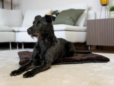 Підстилка для собак та котів Harmony Flex 90x65 см з водонепроникним дном