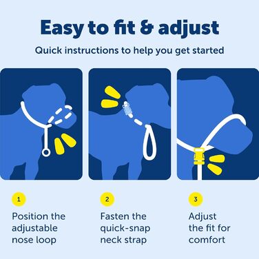 PetSafe Sanfter Führer Halsband з навчальною DVD, чорний, Large