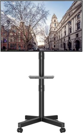 BONTEC Mobile TV Stand with Tilt and Height Adjustment - Rolling TV Mount for 23-60 inch LED, LCD, OLED TVs (Up to 25kg)