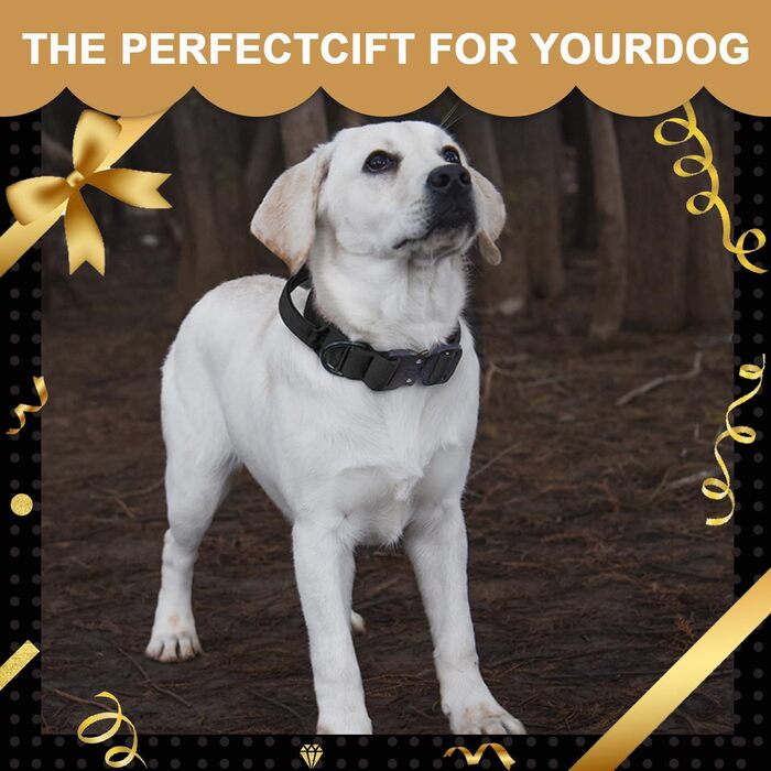 Тактичне нашийник для собак з ручкою, великий, зелений, з нейлону та неопрену, з металевою застібкою, регульований, для великих собак