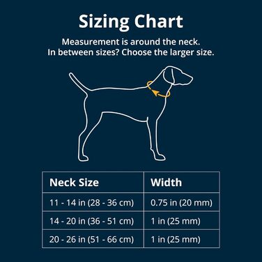 Нашийник для собак Ruffwear Front Range, зелений River Rock, регульований, з кільцем для повідка, 11'-14'