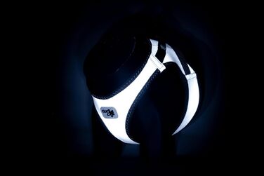 Жилет-шлейка Glow curli Clasp з світловідбиваючим покриттям, сірий, розмір M