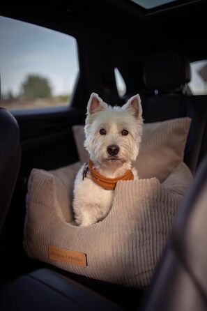 Автоматичний лежак для собак у машину з іменем, бежевий, 60x60x30 см