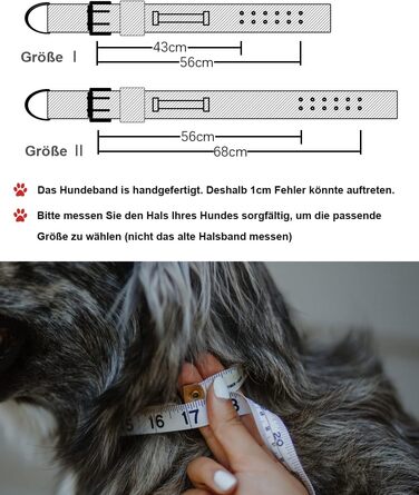 Dog Collar for Large Dogs - 5 cm Wide Collar with Handle for Extra Large Dog Breeds, Black, Soft Padded Neoprene Nylon Dog Collar for Large Dogs Big Dog Collar 56-66cm