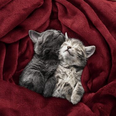 Плед Utopia Bedding: м'який флісовий плед, теплий зимовий плед для ліжка, дивана та крісла (Бургунді, 200x150 см)