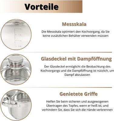 Danik Standard Stainless Steel Cooking Pot with Glass Lid, 20 cm, 4 Liters, Soup Pot/Noodle Pot/Pasta Pot, Silver