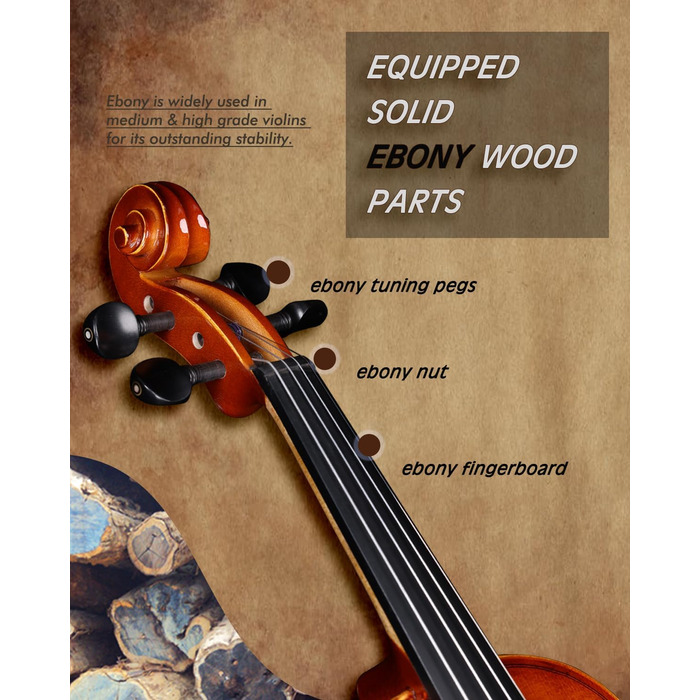Скрипка Aileen 4/4 для дорослих та початківців, набір для дітей від 12 років, скрипка з цільної європейської сосни з підставкою для нот