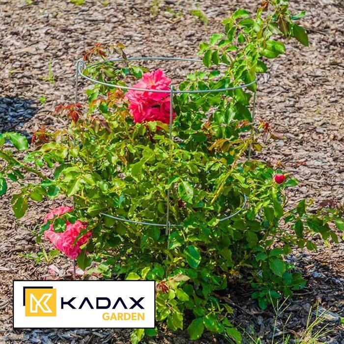 Набір KADAX з 3 опор для рослин зі сталі з порошковим покриттям, підпірки для квітів і рослин, опора для витких рослин, для саду та балкона, висота 60,5 см