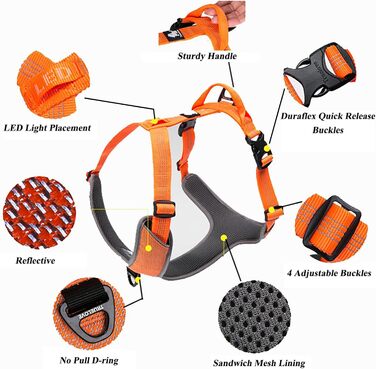 TRUE LOVE Dog Harness Outdoor Adventure II, reflective vest with 2 leash attachments, matching leash and collar available, TLH6071
