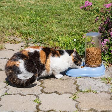 Автоматичний диспенсер для корму та води Ferplast AZIMUT 5500 для великих собак, 5.5 л, білий, з протиковзким дном, 23 x 41 x 37,5 см