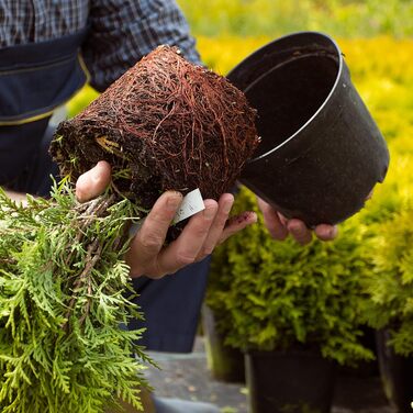 Prime Garden® Круглі пластикові горщики для розсади та квітів, чорні, 31 см, 12 л, набір 10 шт, для дому і вулиці