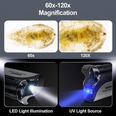 BEBANG Кишеньковий мікроскоп 60x-120x з LED-підсвічуванням, ручний мікроскоп для дітей, студентів та дорослих, для мікробіологічних спостережень, з залізом