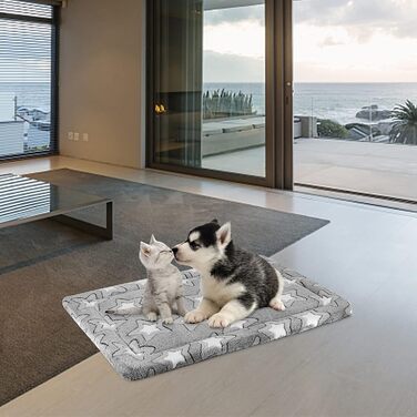 EMPSIGN Dog Bed, Medium-Sized Dogs, Washable Dog Cushion (cool and warm), Dog Mat made of High-Density Foam for Cages, Gray, 76x51x2.8cm (M (61*46*2.8cm))