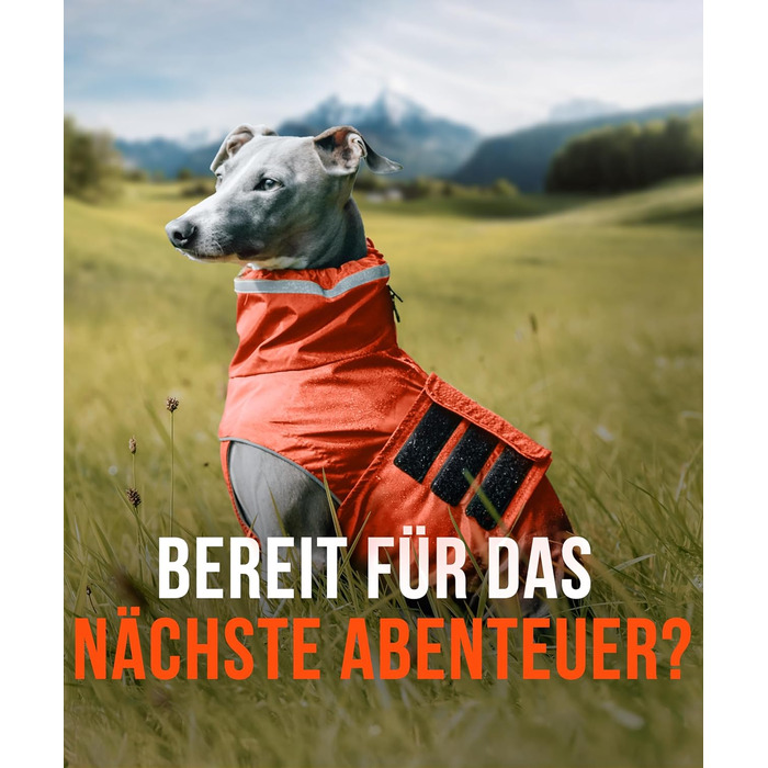 ZAUBERPFOTE® Dog Raincoat London | With extra-long YKK® zipper for collar & harness | For small, medium & large dogs | Waterproof & machine washable | Dog raincoat (Orange, 45)