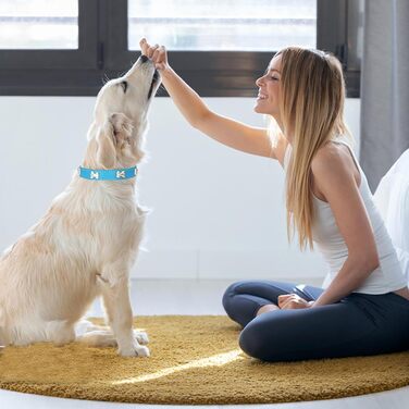Нашийник для собак з шкіри та поводок-комбо: регульований нашийник для цуценят та середніх собак, білий (L, Blauer See)