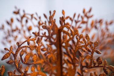 Bornhöft Metal Rust Garden Decor, Patina Rust, Rusty Garden, Rust Decor, Tree, Tree of Life, Garden Decor, Patina Rust, Table Decor, Metal Rust Look (Tree Large)