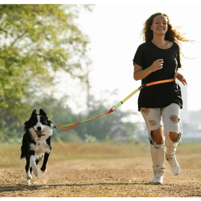 Міцна повідок для собак COSYHOMELONDON, без натягу, з амортизатором, для прогулянок та тренувань, з кріпленням для авторемня, 1,2 - 1,8 м, кольорова