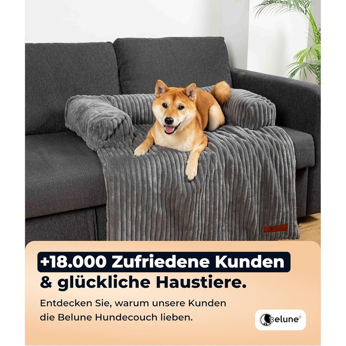 Крісло-лежанка для собак Belune Hundecouch Deluxe - миється, плюш, захист дивану, для собак середніх та маленьких порід (темно-сірий, L - 120x95 см)