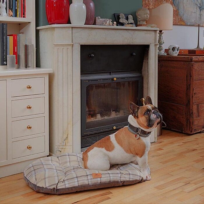 Крісло-лежанка для собак та котів Ferplast, 78 x 50 x 15 см, блакитний, візерунок «Кленовий лист»