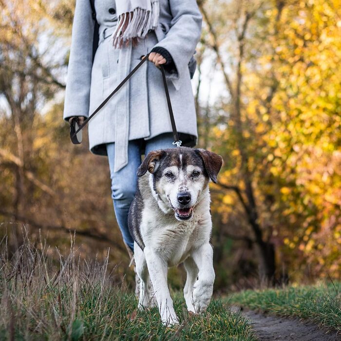 Висувна поводок для собак, 5 м, для собак маленьких та середніх порід до 25 кг, антизаплутування, міцний нейлоновий поводок (рожево-білі крапки) (сірий)