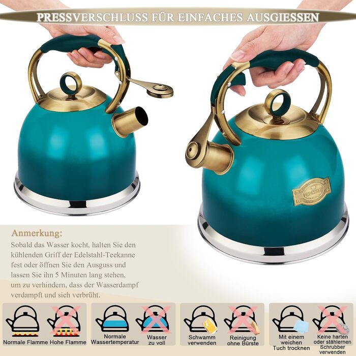 Чайник-свисток 3л з нержавіючої сталі з термостійкою ручкою, для індукційних плит (блакитний)