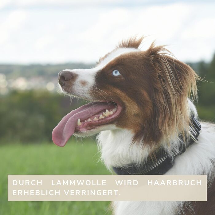 Нашийник для собак CHRIS з ланолінової вовни, зменшує випадіння шерсті, з підкладкою, світловідбиваючий, регульований, для собак малих, середніх та великих порід, розмір L (45-55 см), XL (55-65 см), колір антрацит