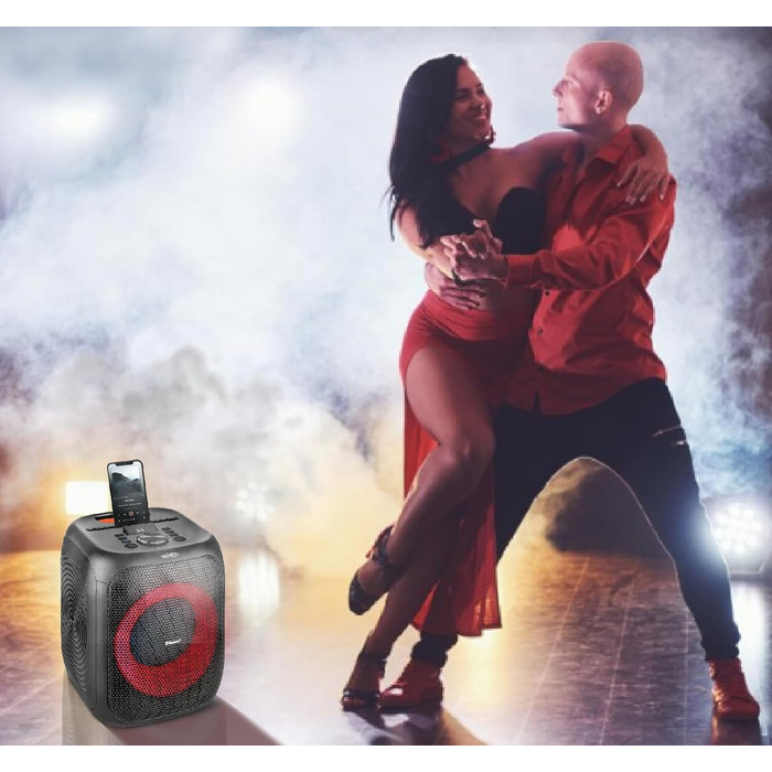 Reflexion PS09BT: Портативна Bluetooth-колонка для вечірок, DJ та караоке, 500 Вт, радіо UKW-PLL, світлодіодний ефект, мікрофон, акумулятор, чорний (PSX11BT)