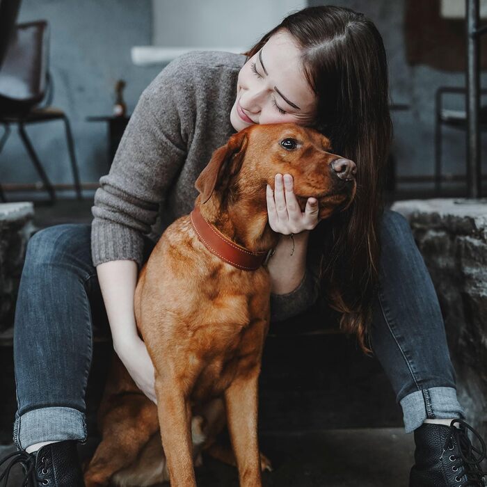 Нашийник для собак HUNTER AALBORG SPECIAL, шкіряний, міцний, комфортний, XS-S, колір cognac