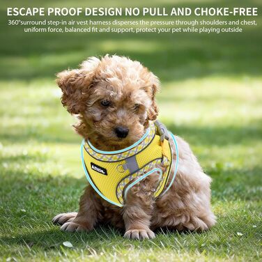 Нашийник та поводок для собак: комплект для прогулянок, нашийник для цуценят, м'який дихаючий аксесуар для тварин, світловідбиваючі смуги, для дуже маленьких собак та котів, блакитно-рожевий (XXXS, жовтий)