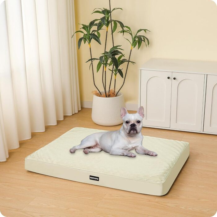 Ортопедичне ліжко для собак, 10 см товщина, для середніх та великих собак, знімний та пральний килимок, неслизьке дно, водонепроникне внутрішнє покриття, 112 см, оливковий колір (L 76 x B 51 x H 8 см, бежевий)