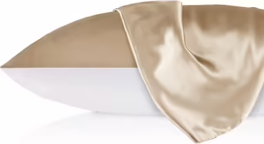 LILYSILK 19 Momme Silk Pillowcase Mulberry Silk with Cotton Backing Zipper Closure Hair and Skin Care Pillow Cover 1 Piece (80x80cm) (Gray Brown, 40x40cm)