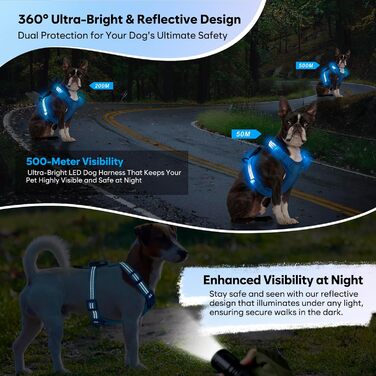 LED нашийник для собак, світлодіодний нашийник для маленьких собак, USB-C, світлодіодна повідка для собак, безпечний нашийник для собак, світлодіодна жилетка для собак, світлодіодна повідка для цуценят, XS, S, світловідбиваючий нашийник для собак, для ніч