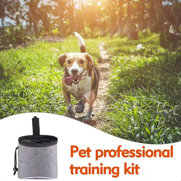 Сумка для тренувань з ласощами для собак, цуценят, сіра. Зручна для прогулянок та подорожей