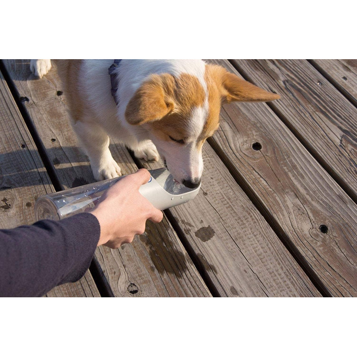 PETKIT Reiseflasche EVERSWEET Travel One-Touch, 400 мл, зелений, для собак