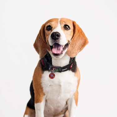 Нашийник для собак Cerdá Marvel, маленькі породи, офіційний ліцензований товар (M/L, 1 шт.)