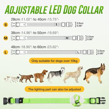 Світлодіодне нашийник для собак Jewyow 7-в-1, перезаряджуваний USB-C, водонепроникний, зелений (L)