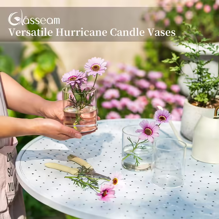 Glasseam Glass Cylinder Vase Small Vases for Table Decoration, Clear Flower Vase Modern Glass Vases Piece, 10 x 8.5 cm Flower Vases Glass Cylinder Candle Holders Table Vase for Living Room Wedding Decoration (6, 10cm)