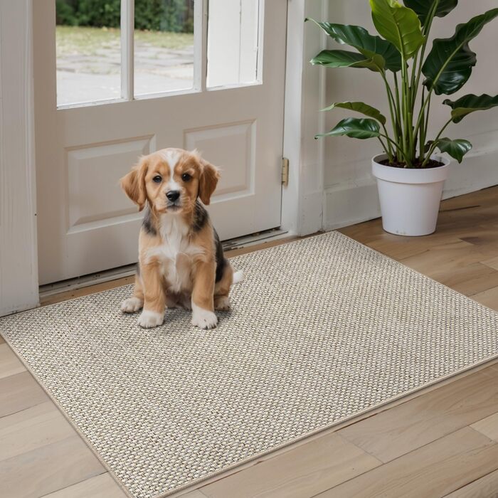 Килимок для дому DEXI 44 x 76 см, антиковзаюча, миється, поглинаючий, для входу та коридору, бежевий