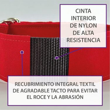 Нашийник для собак Galguita Amelie з принтом черепа, 4 см, розмір M (30-39 см), для собак Мартінгейл