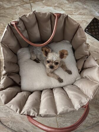 Автомобільний лежак для собак у багажник - переноска-сидіння для маленьких собак, 55x42x42 см, темно-хакі