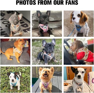 Шлейка та поводок для собак та котів Beautyzool, м'яка сітчаста тканина, світловідбивачі, для дрібних та середніх цуценят та котів, в клітинку, XS/S, Бежевий (37-41 см обхват грудей)