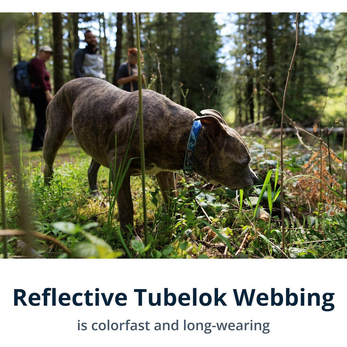 Нашийник для собак RUFFWEAR Crag, середній, 36-51 см, з алюмінієвим кільцем V, регульований, м'який, преміум-якість, для собак з можливістю підключення повідка