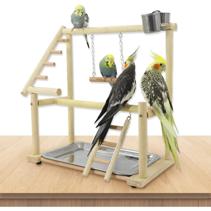 Bird Playground, budgie toys, bird playground stand, bird gym, bird accessories, climbing frame with ladder, running grid with feeder cups, tray, swing for parakeets, wavy parrots, finches, etc. (#7)